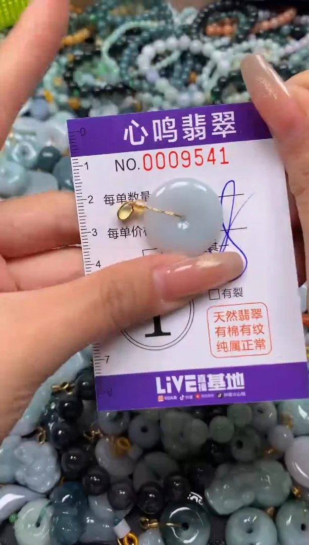 颈饰未镶嵌翡翠闪购009541