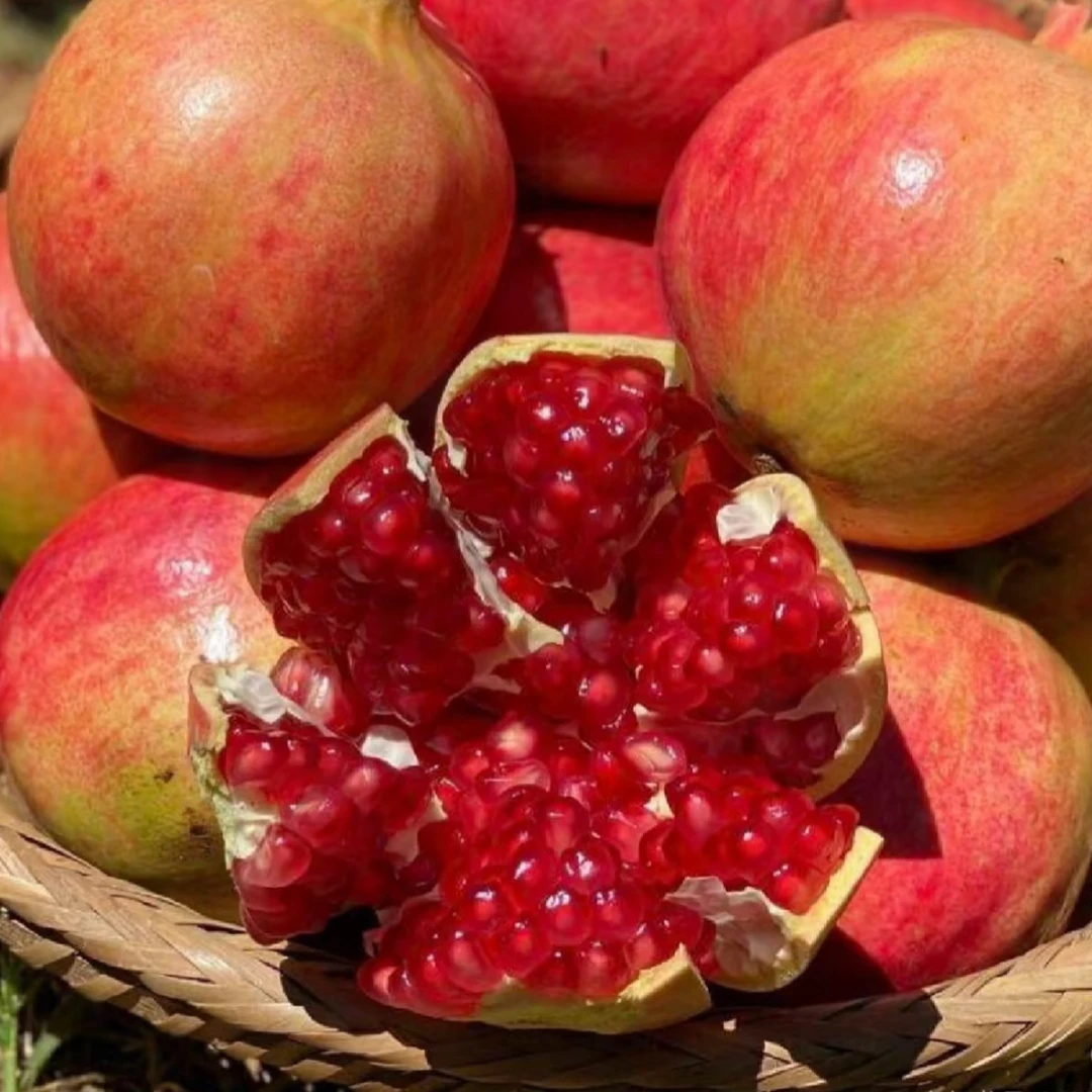 突尼斯软籽石榴特大果 纯甜多汁