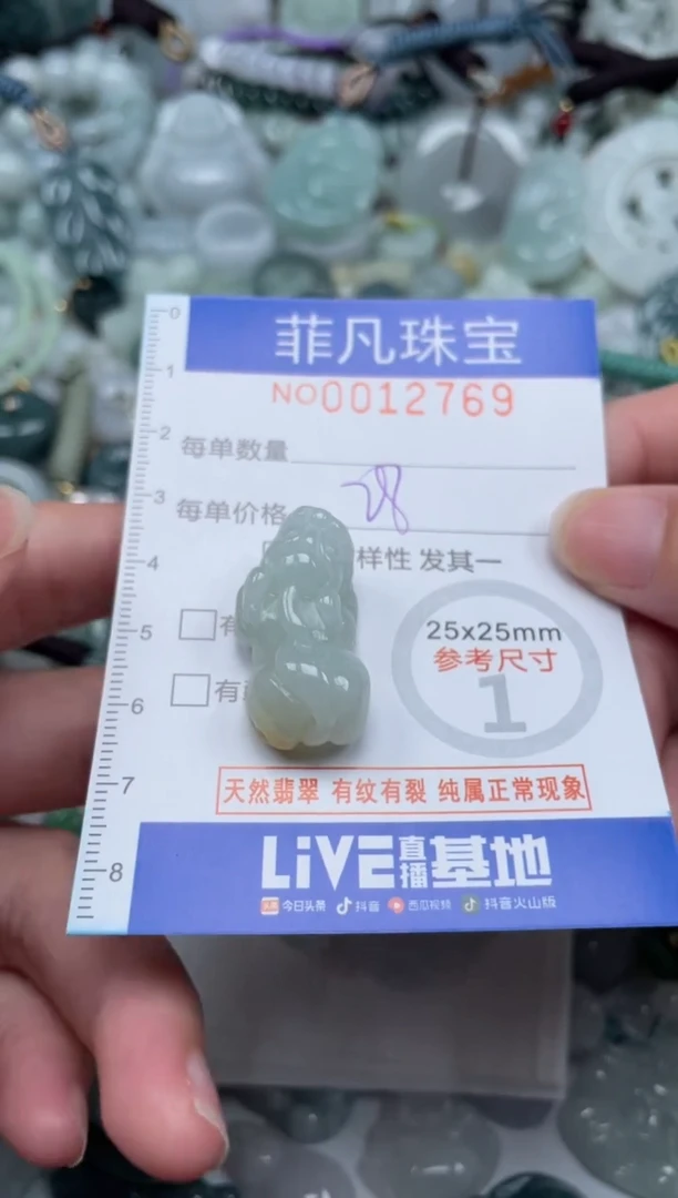 颈饰未镶嵌翡翠12769