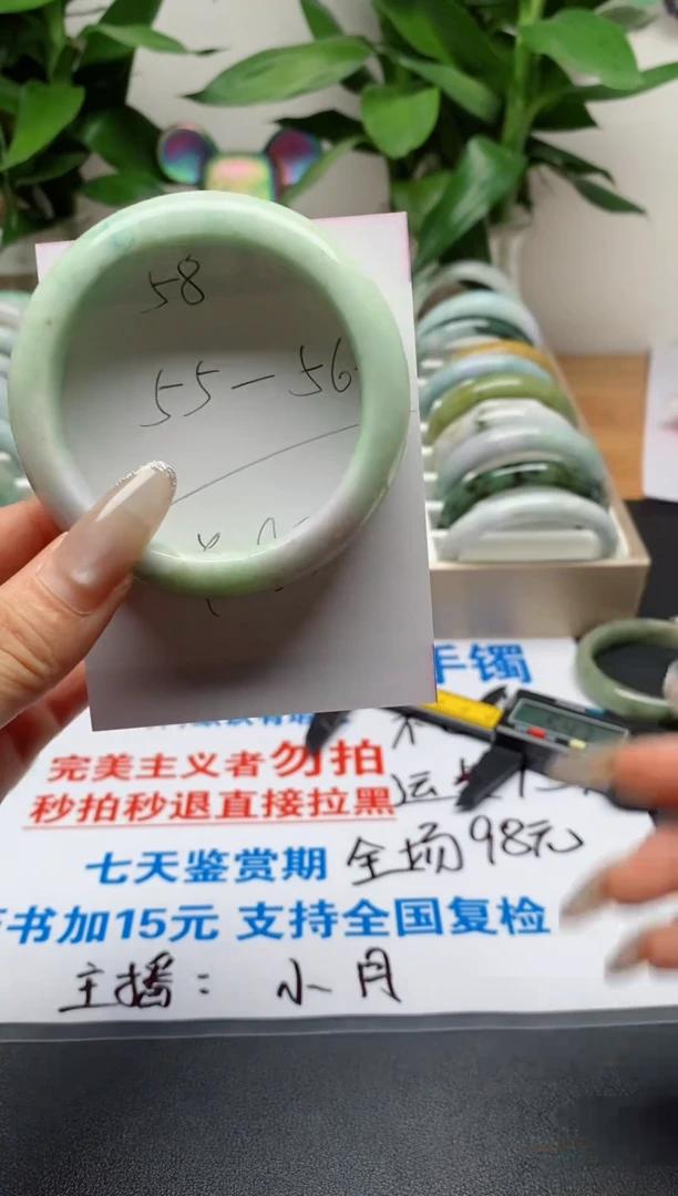 未镶嵌手镯翡翠58
