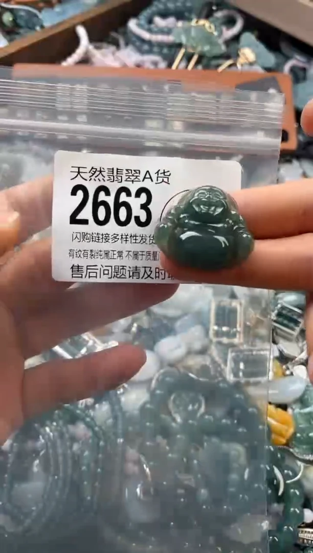 颈饰未镶嵌翡翠翡翠2663