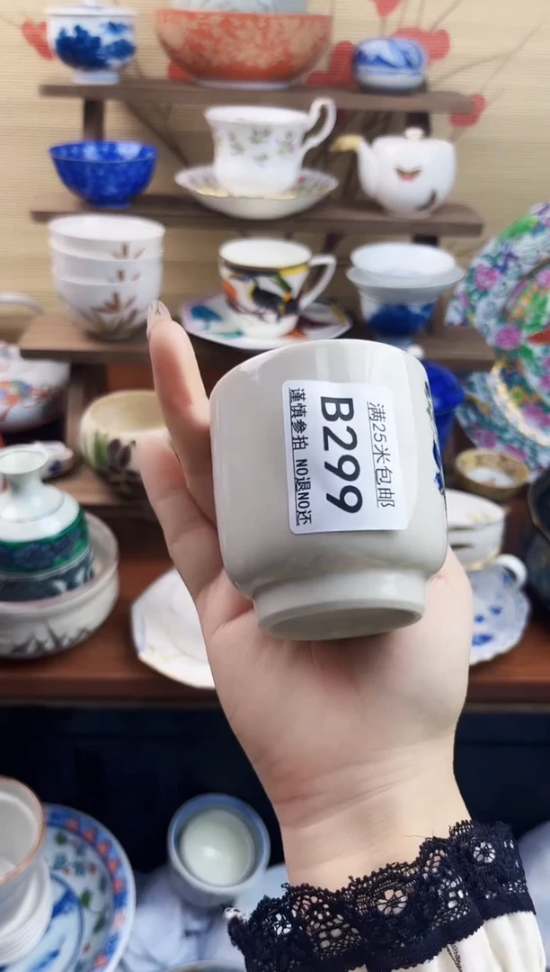 【闪购商品】b299==============