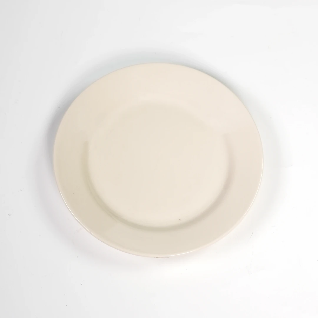 210 mmlF平盘（专底0.48） 1个