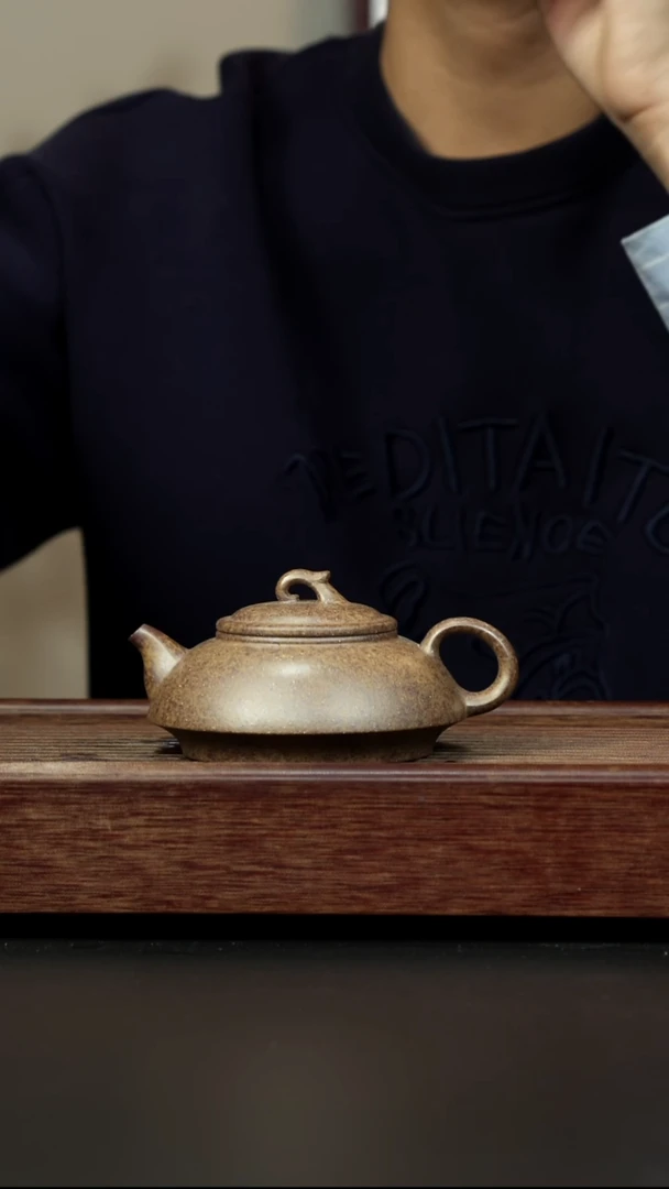 紫砂茶壶本绿柴烧 龙瓢