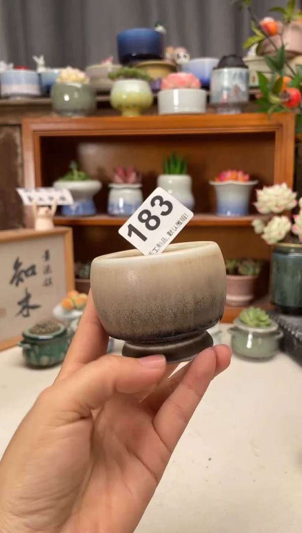 瓷片183知木小芳花盆编号