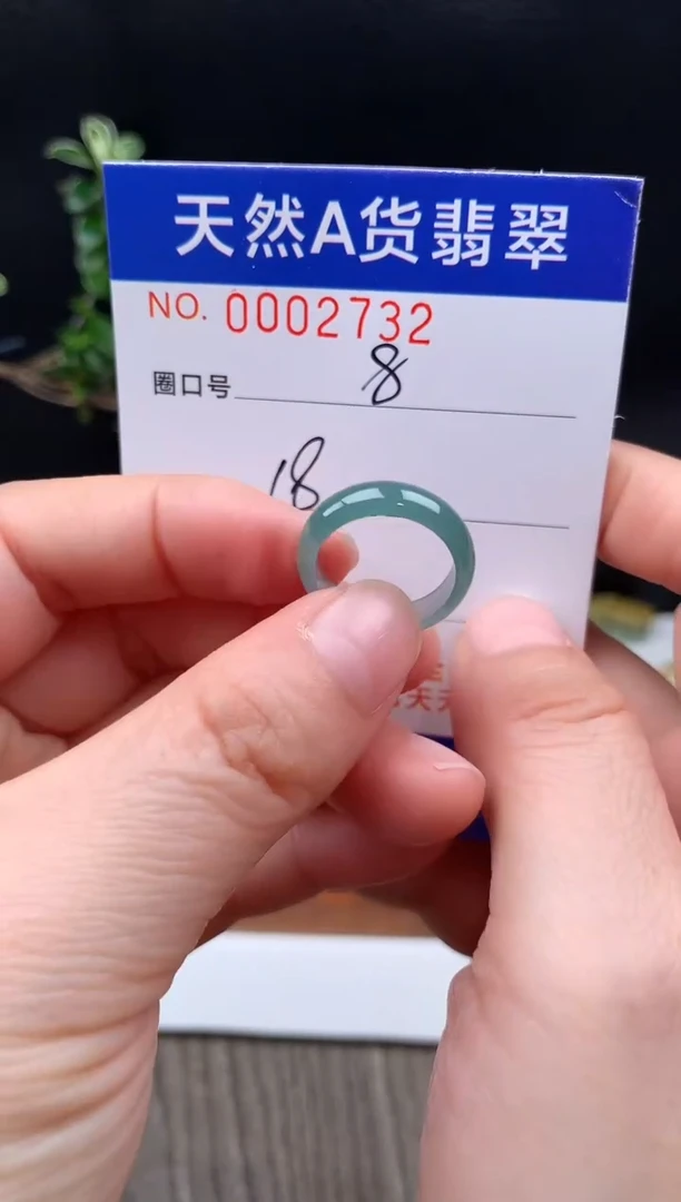 未镶嵌戒指翡翠8#