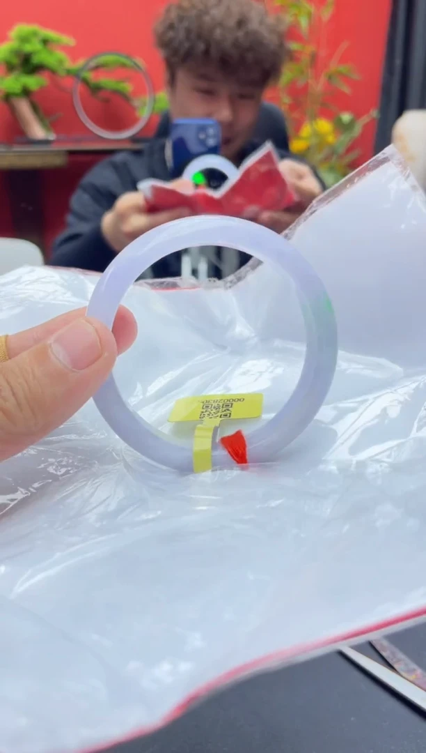 未镶嵌手镯翡翠4