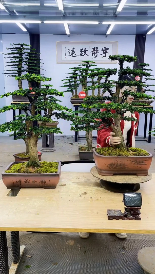 无花朵00000000000000