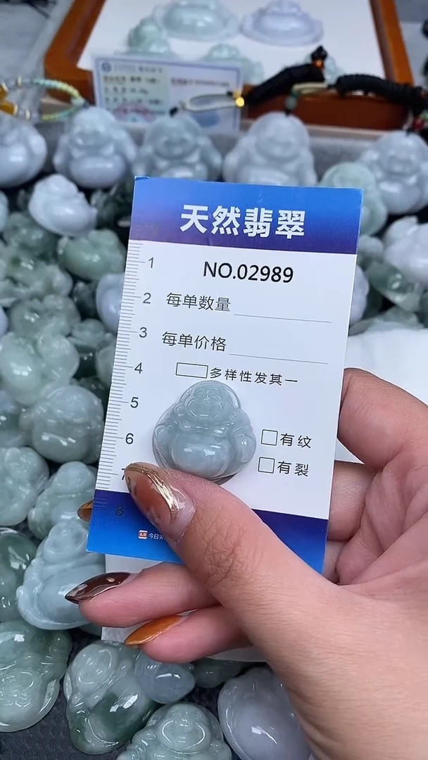 颈饰未镶嵌翡翠纯天然A货翡翠2989