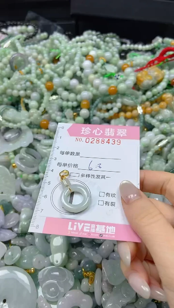 翡翠未镶嵌颈饰闪购0288439