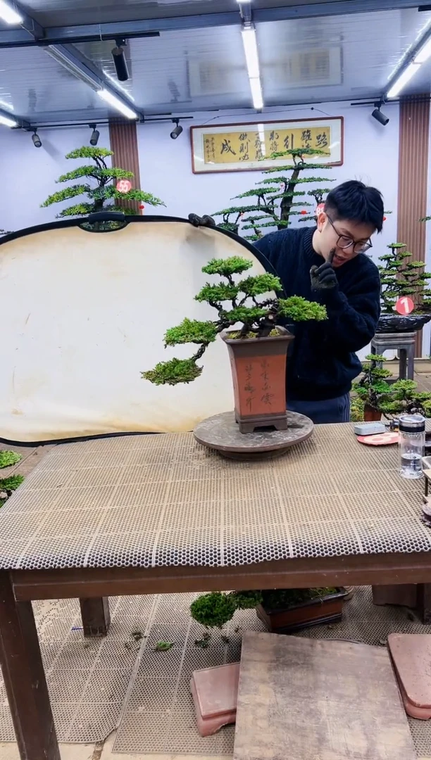 【闪购商品】000000