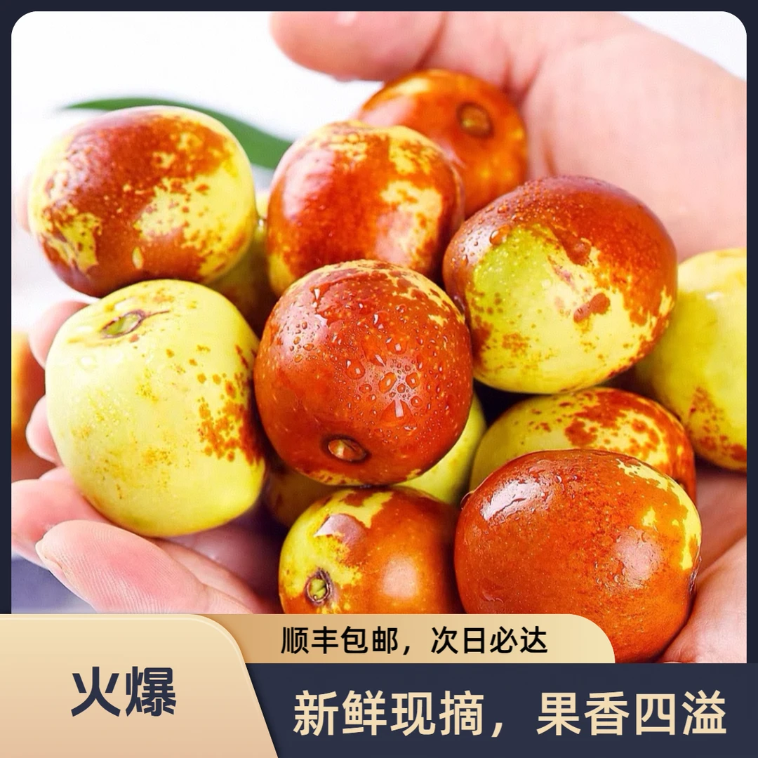 【次日达顺丰包邮】正宗陕西大荔冬枣陕西省