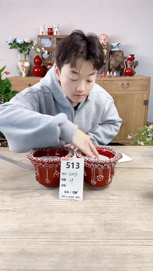 晴好园艺直播编号513