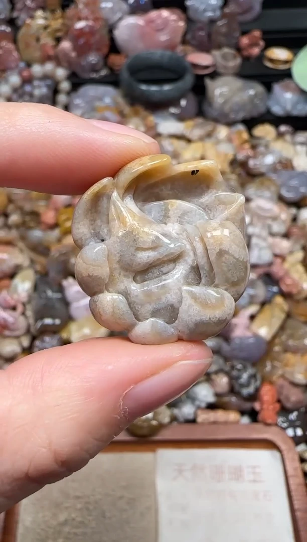 颈饰未镶嵌硅化珊瑚（珊瑚玉）711