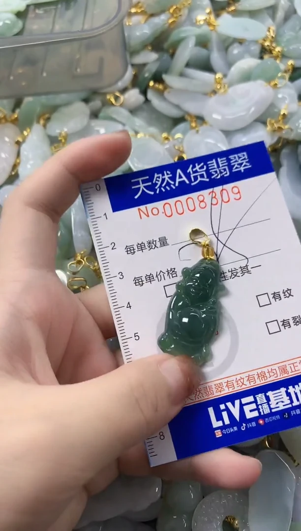 颈饰未镶嵌翡翠天然A货翡翠