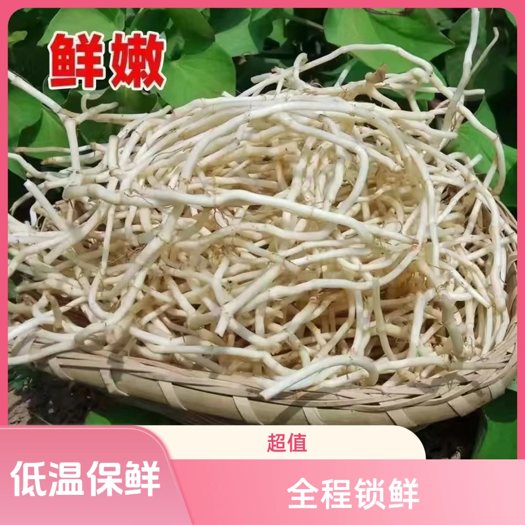 鱼腥草折耳根新鲜洗净发货凉拌炒肉云贵川湖北特产节节根好吃