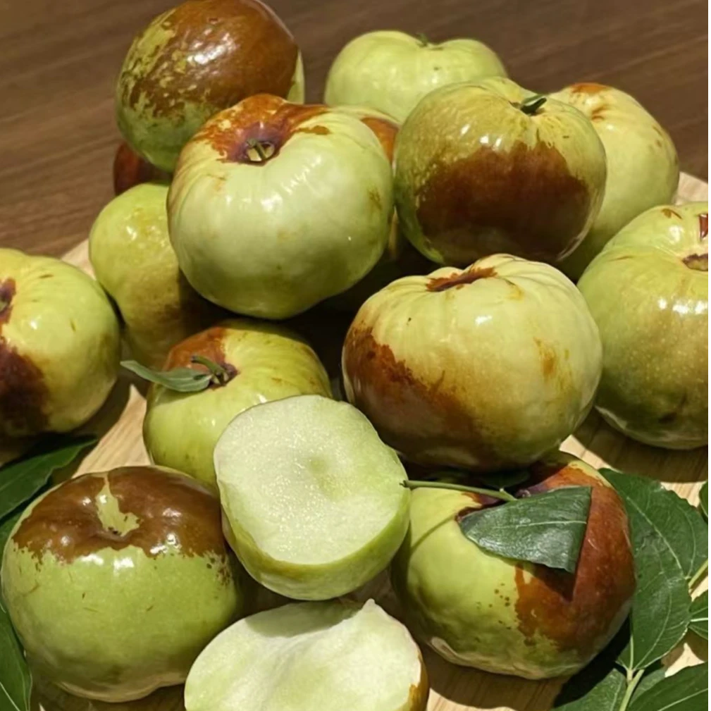 【现货！爆甜】正宗新疆沙漠蟠枣昆仑雪水灌溉现摘现发新鲜产地直发