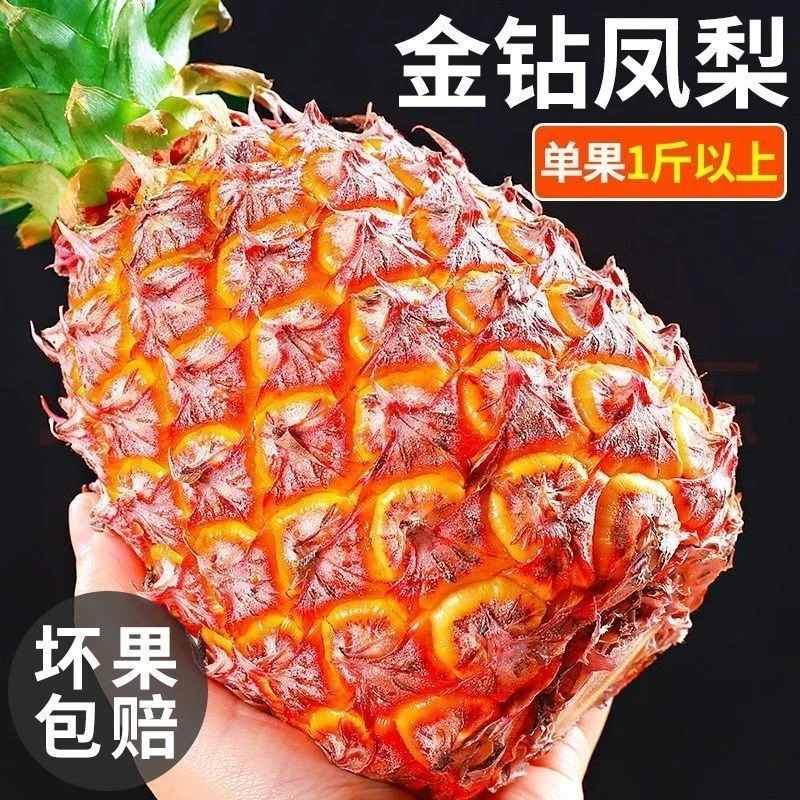 正宗海南金钻17号凤梨清甜多汁自然成熟当季水果q
