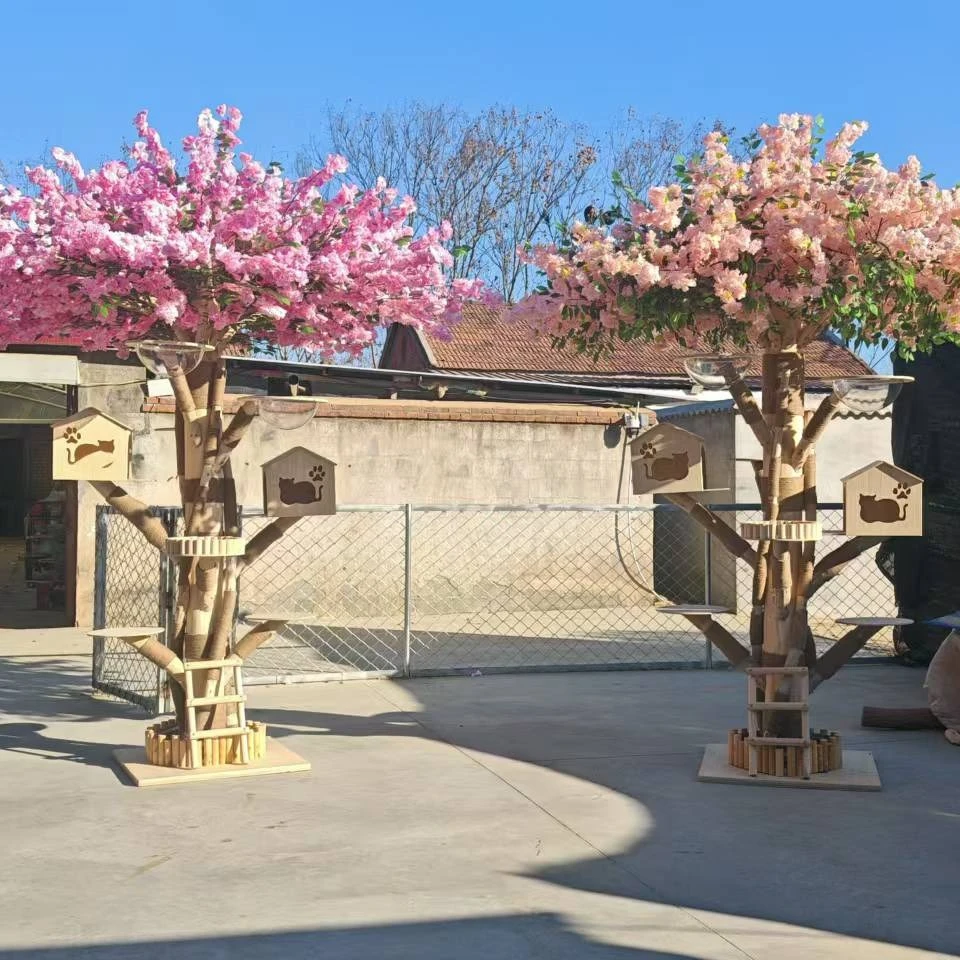 【全实木猫爬架】猫窝一体猫玩具猫抓板逗猫猫咪攀爬架猫树屋落地试