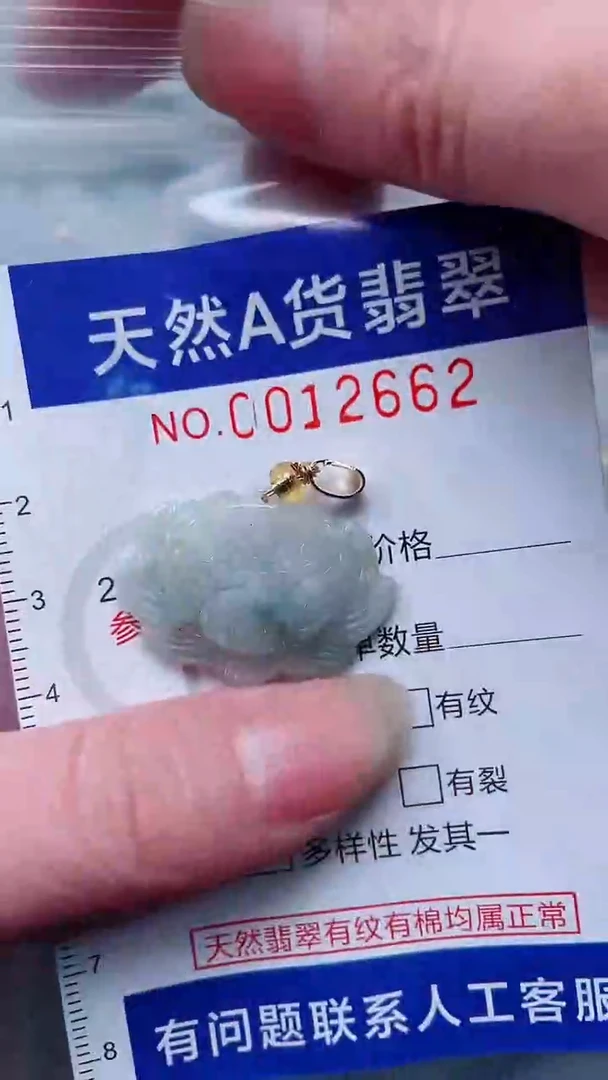 翡翠未镶嵌吊坠(不含链)1