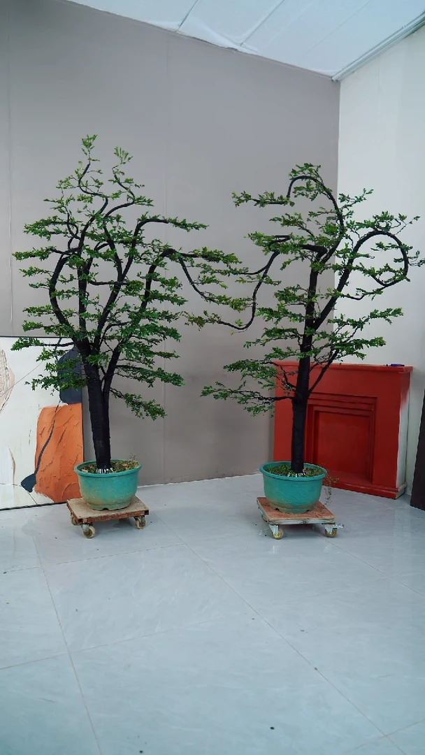 【闪购商品】两盆不带盆