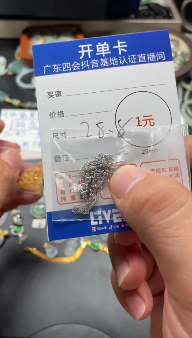 颈饰未镶嵌翡翠链子