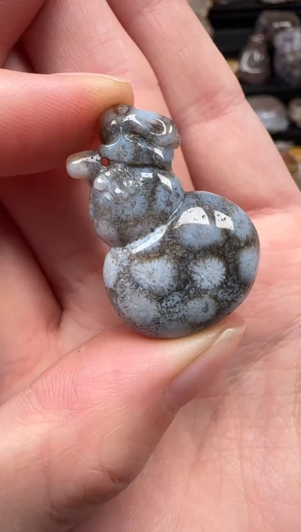 颈饰未镶嵌硅化珊瑚（珊瑚玉）639