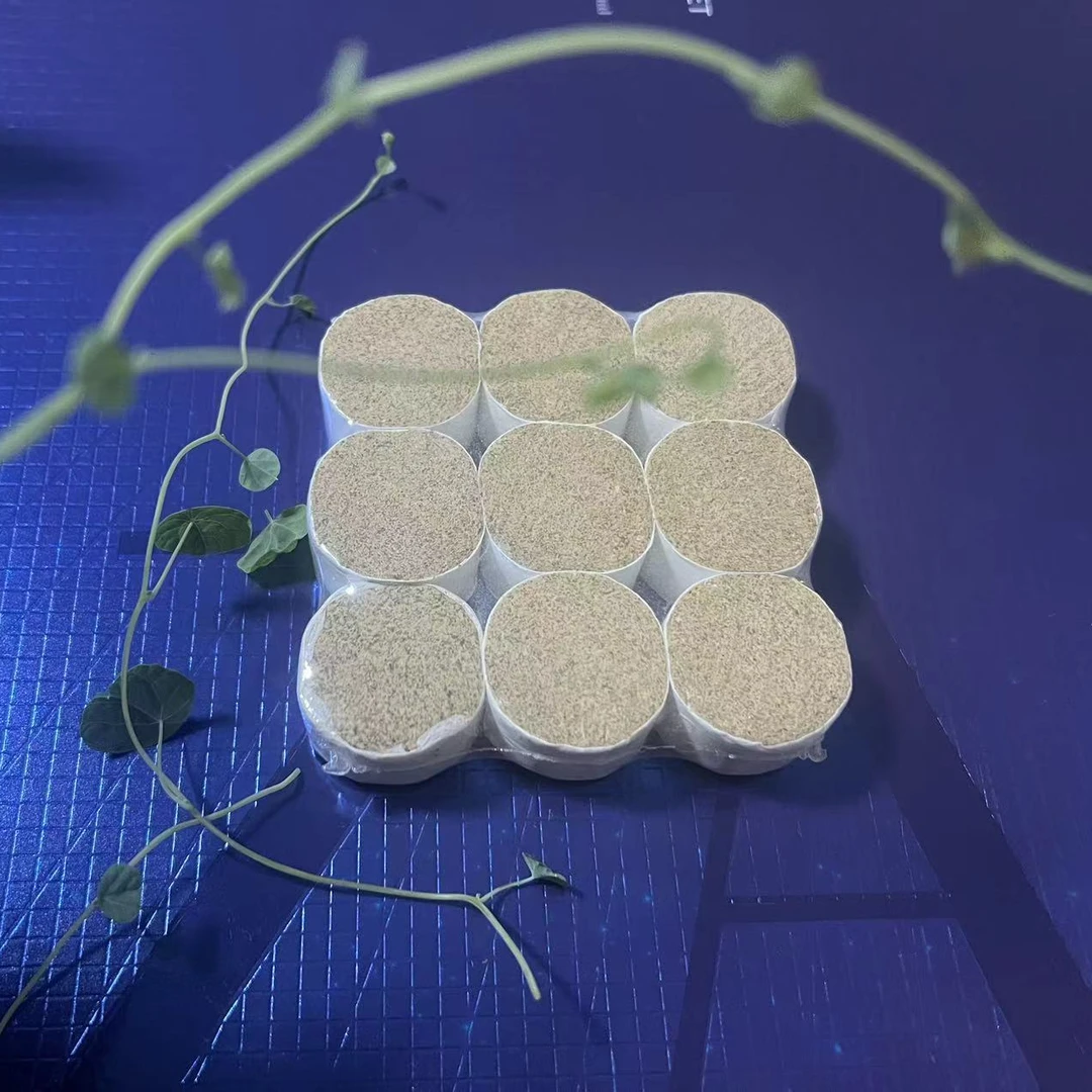 【时光倒流】小莲花灸专属艾饼