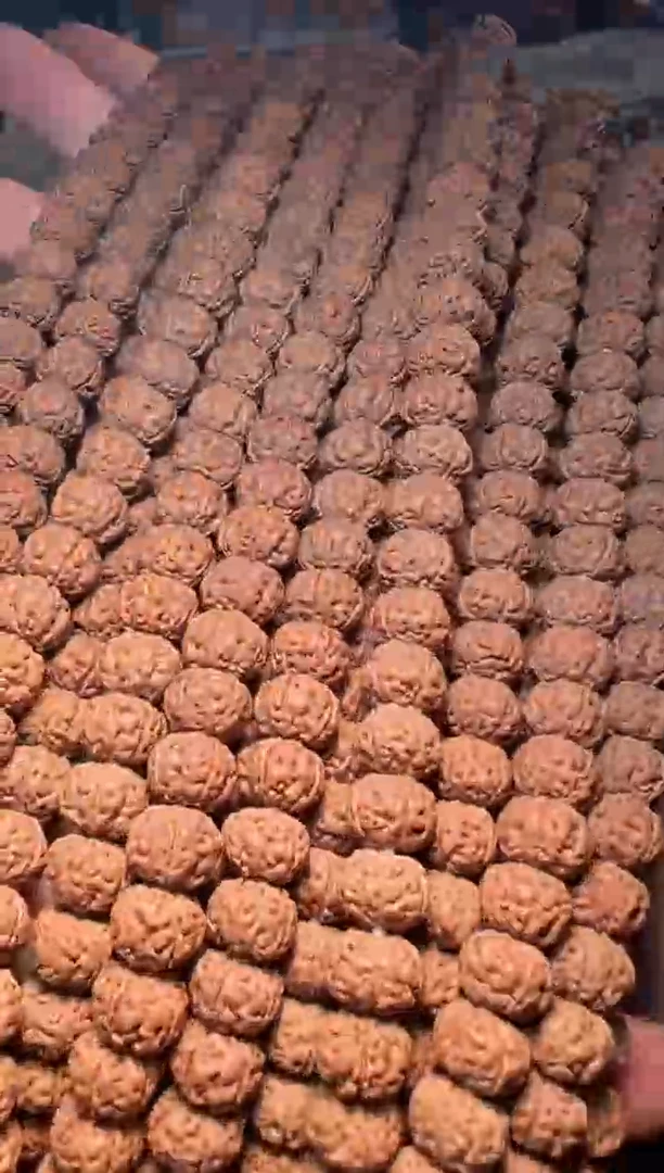 手串金刚菩提无利润超头精挑老树王108-10mm