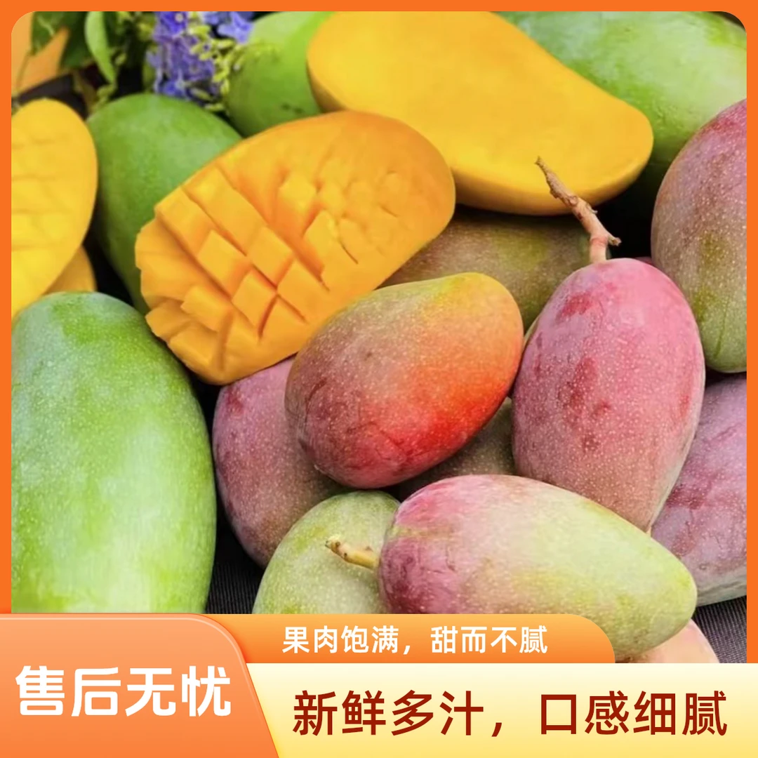 广西贵妃芒  正宗新鲜采摘芒果应季水果产地直供现