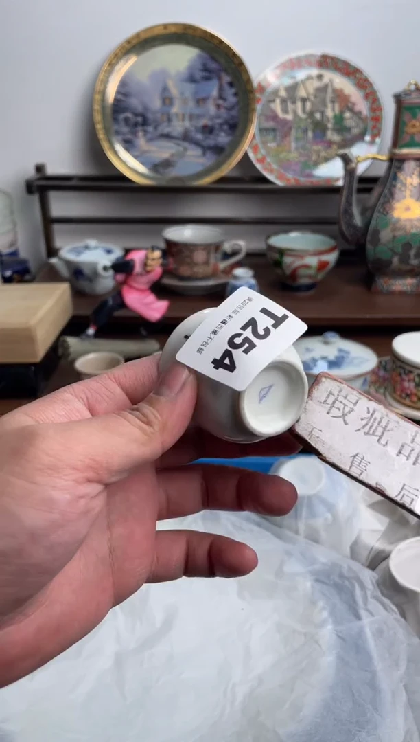 【闪购商品】瓷片254-T-满20包邮48h凑单
