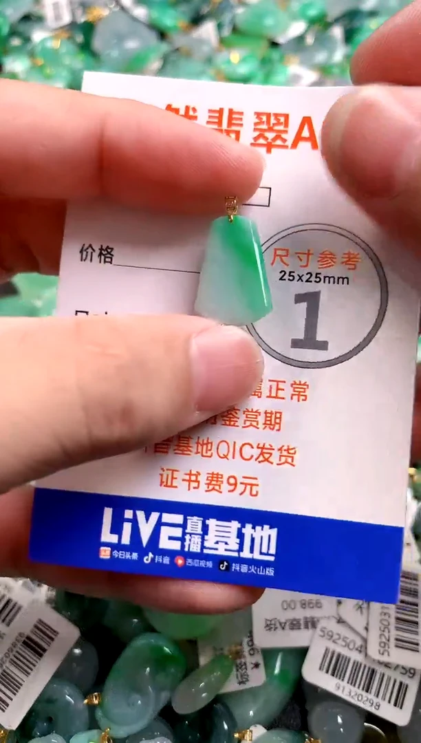 颈饰18K金镶嵌翡翠0113838527