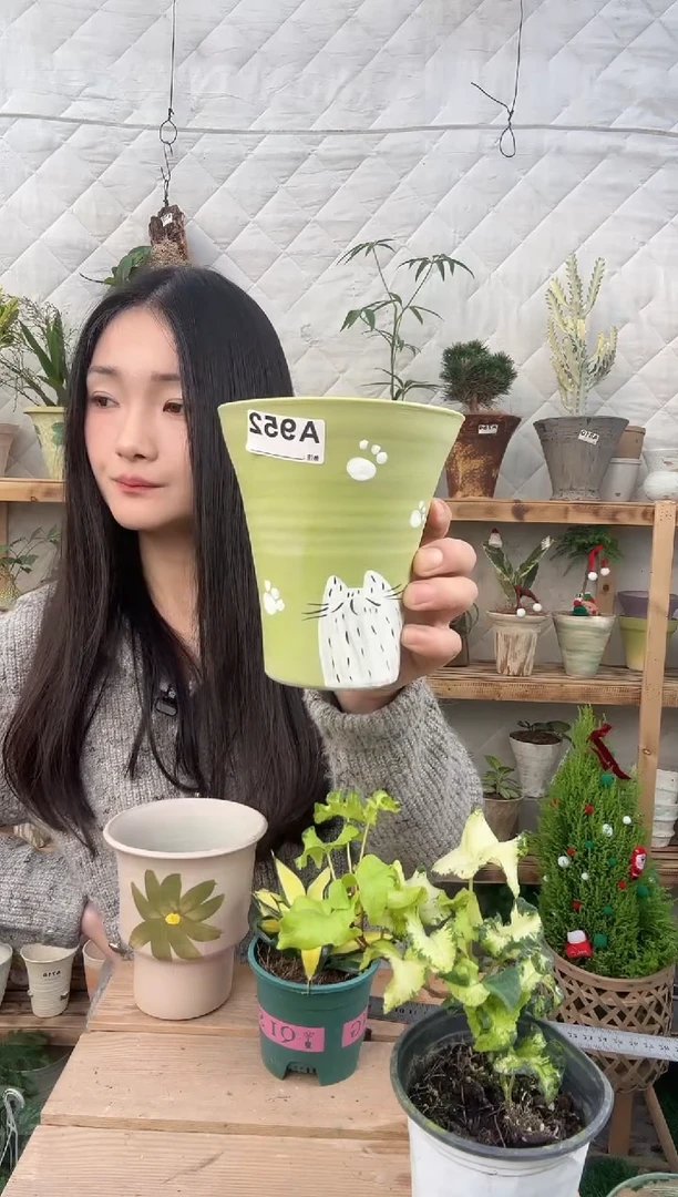 无花朵编号  952 景德镇手绘花盆12.5x14