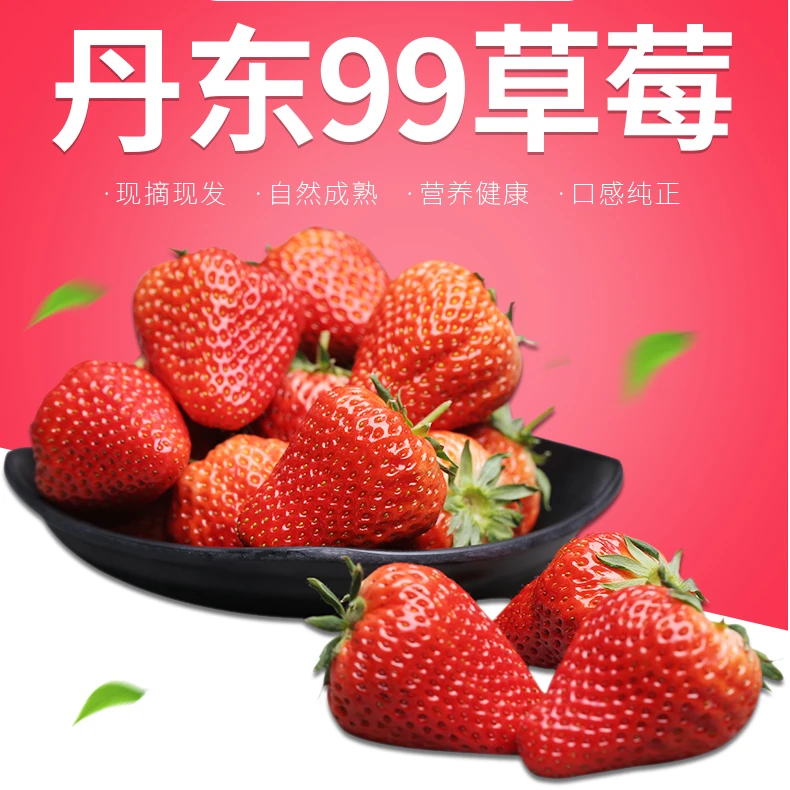 丹东九九草莓中大果3斤装