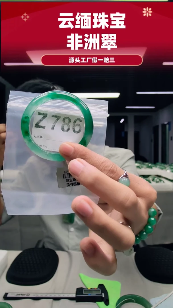 未镶嵌手镯石英质玉（非洲翠）53圈口Z786