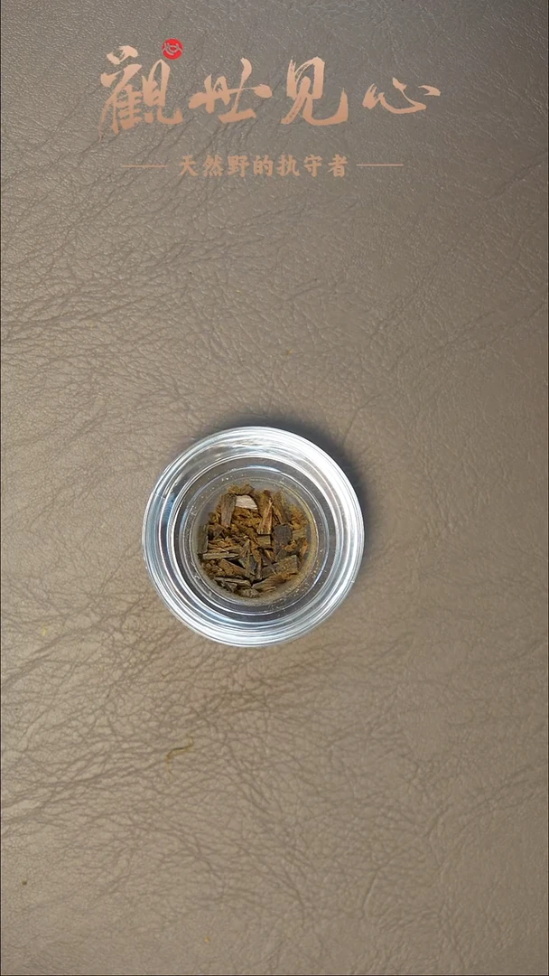 沉香沉香碎屑密支那车珠粉沉水 1g