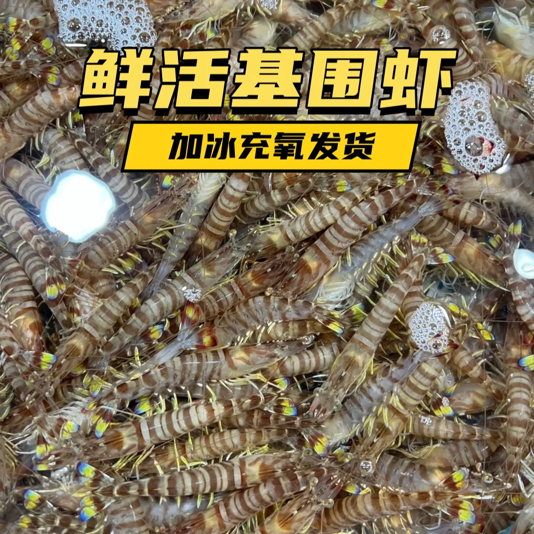 【鲜活基围虾】90%基围虾(每斤45只左右)鲜活充氧发货 规格可选