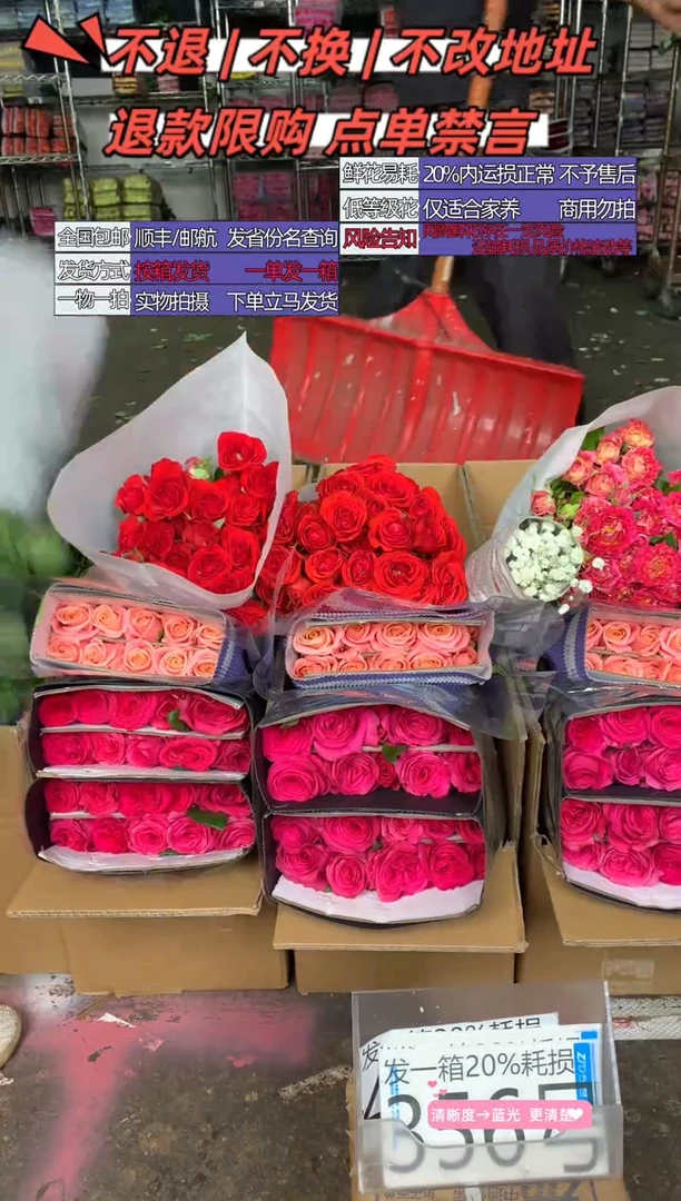 356号♥含20%耗损发一箱