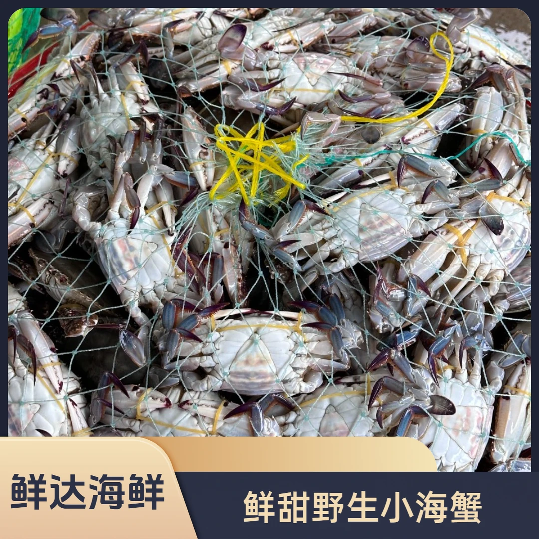 【保鲜不保活】野生海蟹一斤两只起两