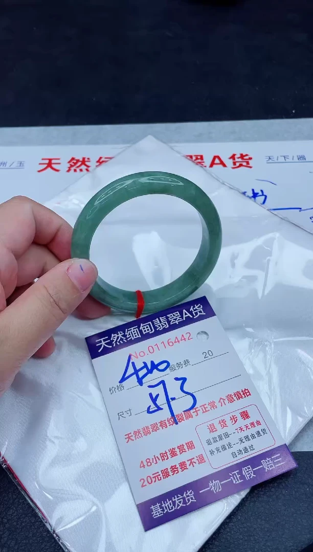 未镶嵌手镯翡翠400.00000