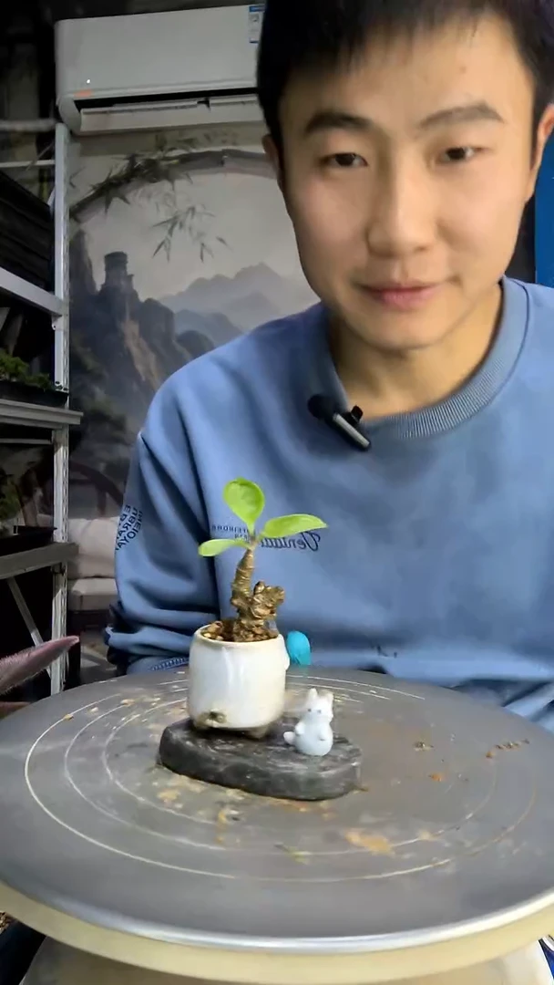 崽****?中青园艺一物一拍79
