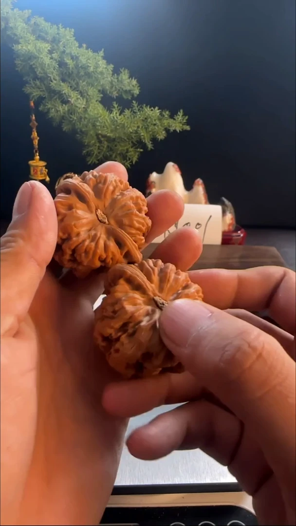 把件文玩核桃雨*48尺大粗筋