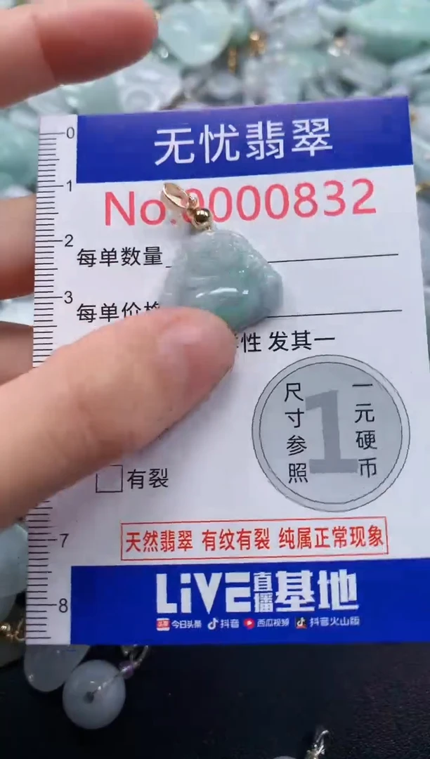 颈饰未镶嵌翡翠832