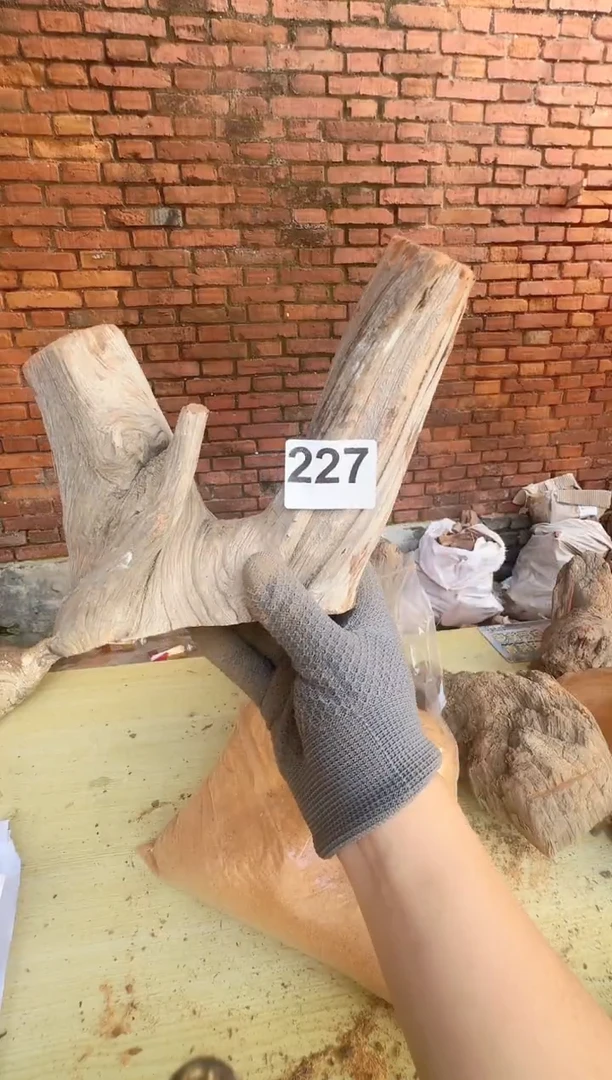 柏木太行陈化崖柏现切先拍（1单1片）227