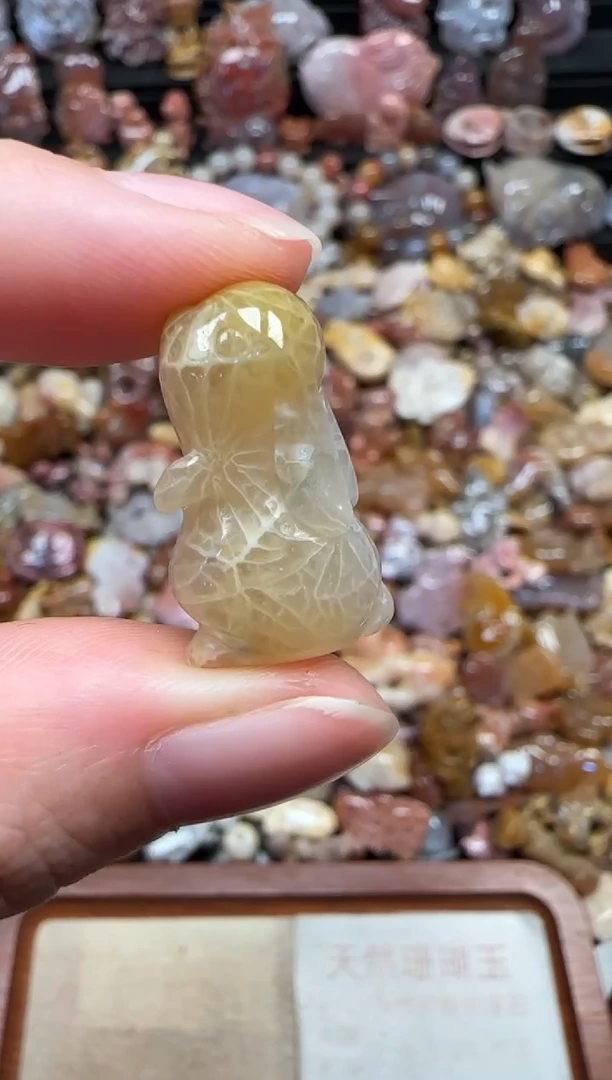 颈饰未镶嵌硅化珊瑚（珊瑚玉）635