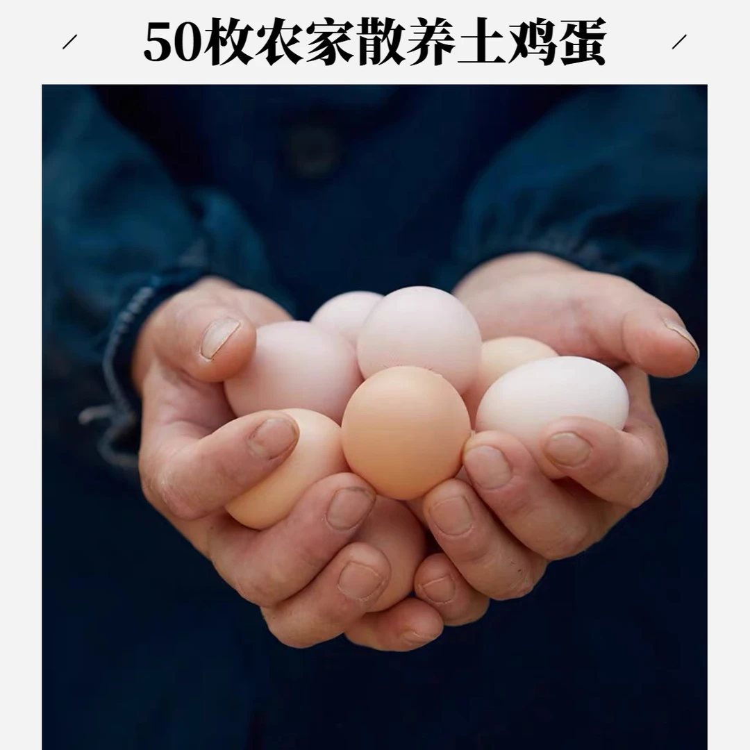 [精品大蛋]50枚精品土鸡蛋散养现捡现发破损包赔4.5斤以上