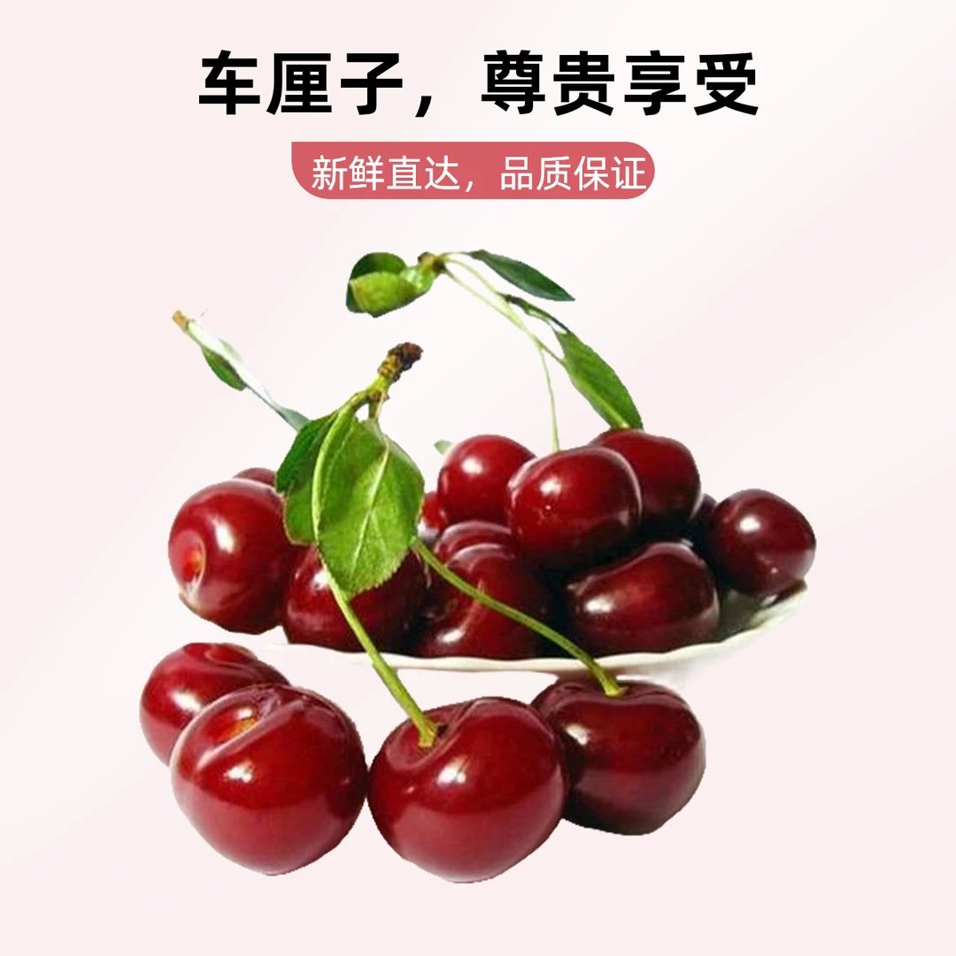【顺丰/京东到家】5斤海运智利车厘子J/JJ/JJJ