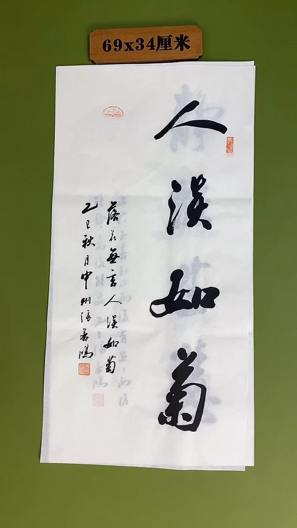 书法书法 张若鸿 尺寸69cm*34cm