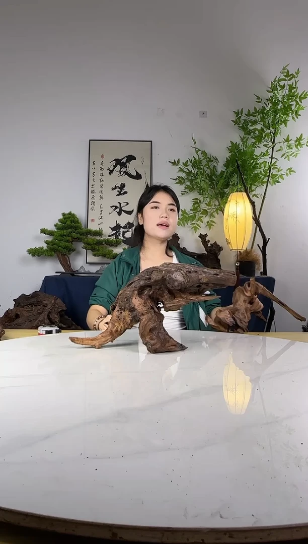 快**仙拍这个定向编号33