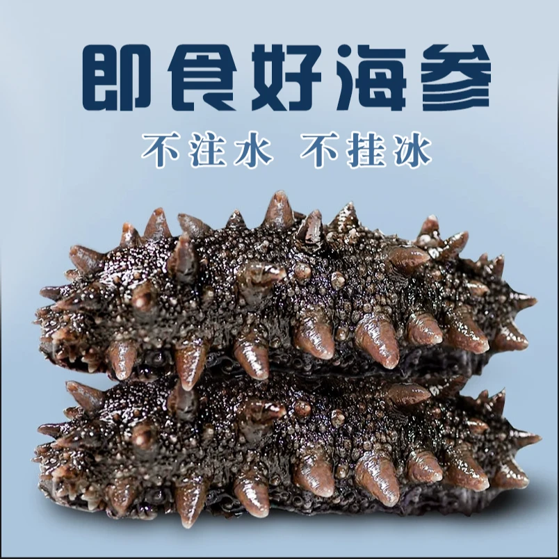鲜食海参辽参鲜活大海参500g非干货7-9头即食海参刺参独立包装